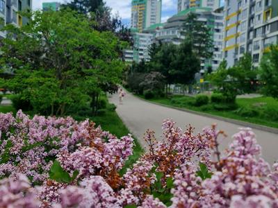 квартира по адресу Вышгородская ул., 45