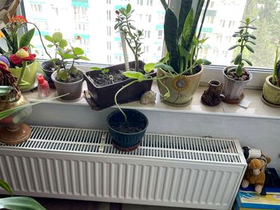 квартира за адресою Клавдіївська вул., 40-Д
