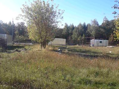 участок по адресу с. Калиновка, Київська