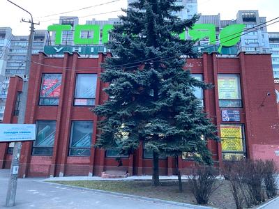 комерційна за адресою Запорізьке шосе, 56