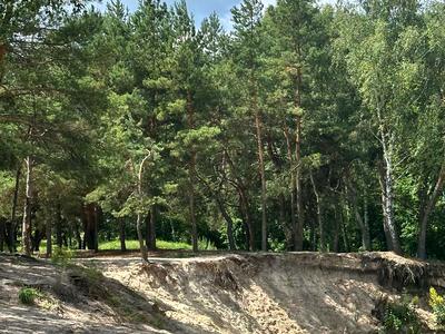 дом по адресу Чернигов, Механізатор