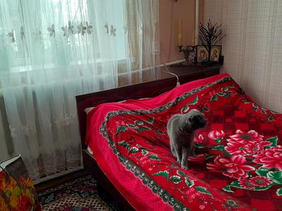 дом по адресу Подгородное, Антона Вусика