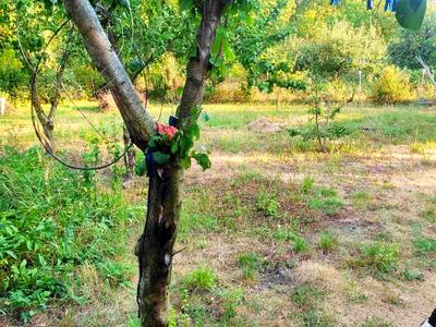 будинок за адресою Петровская