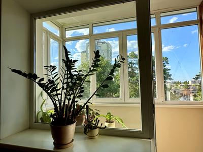 квартира за адресою Львівська вул., 12