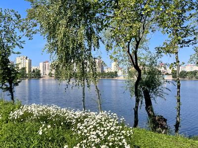квартира по адресу Киев, Владимира Ивасюка просп. (Героїв Сталінграду), 18-А