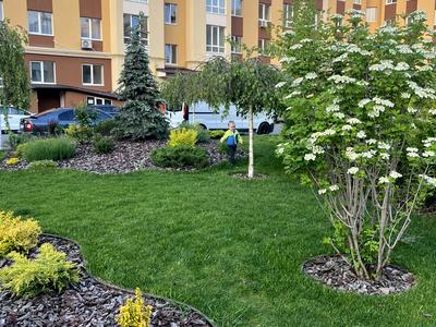 квартира за адресою Відпочинку вул., 1
