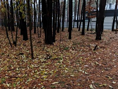 участок по адресу Лесной пер.