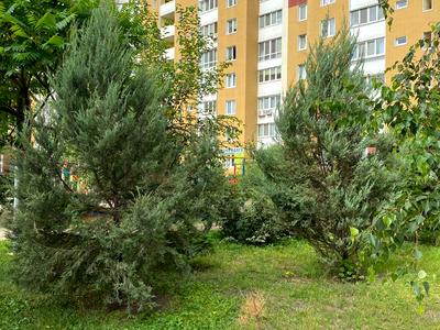 квартира по адресу Сергея Данченко ул., 5