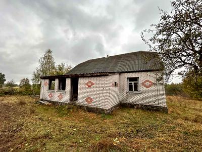 будинок за адресою Центральна, 1