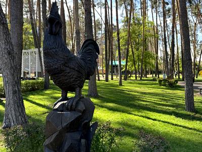 квартира по адресу Полтавская ул., 57