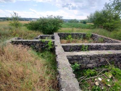 ділянка за адресою с. Вергуни, Вишнева