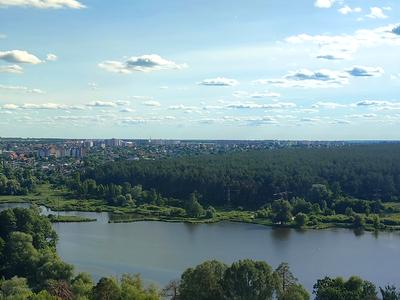квартира за адресою Живописна вул., 3