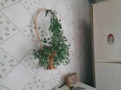 квартира по адресу Каверина ул. (Каверина), 1