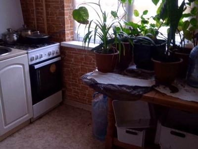квартира по адресу Победы просп., 62д