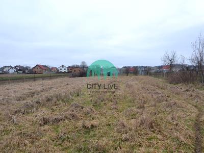 будинок за адресою с. Братківці, Петрикова