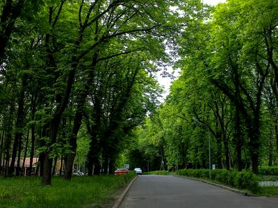 квартира по адресу Дегтяревская ул., 25
