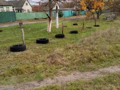 ділянка за адресою с. Свидівок, Набережна, 12а