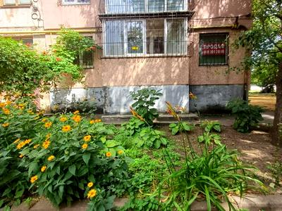 квартира за адресою Петра Дорошенка вул. (Блюхера), 2