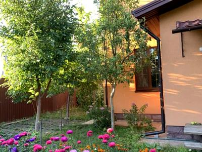 будинок за адресою с. Софіївська борщагівка, Соборна вул.