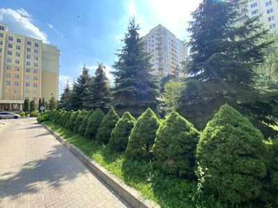 квартира за адресою Валерія Лобановського вул., 7
