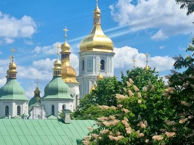 квартира по адресу Стрелецкая ул., 7/6