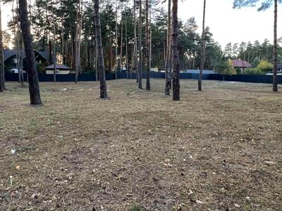 участок по адресу с. Романков, Сосновый Бор ул.