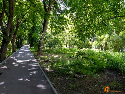 квартира за адресою Лесі Українки бульв., 16-А