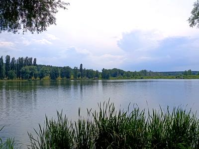 дом по адресу с. Литвиновка, Лесі Українки, 92