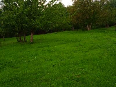 будинок за адресою с. Середній Березів, Петрунівка, 1