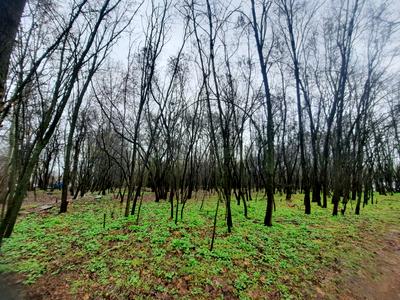 квартира за адресою Тираспольська вул., 58