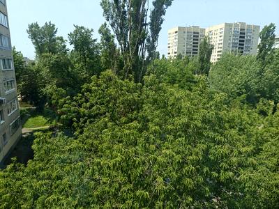 квартира по адресу Бориса Матроса ул. (Плеханова), 6