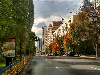 комната по адресу Леси Украинки бульв., 20/22
