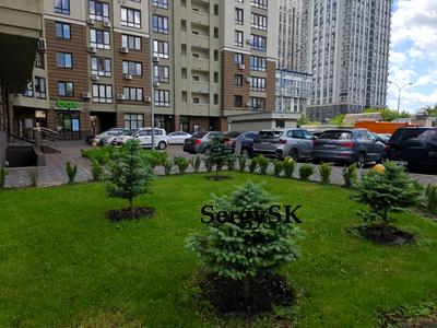 квартира по адресу Армянская ул., 6
