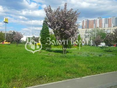 квартира по адресу Владимира Сосюры ул., 6б