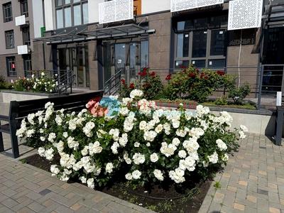 квартира за адресою Тираспольська вул., 52