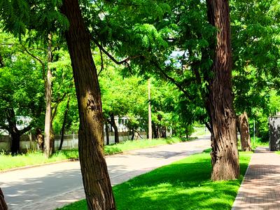 квартира за адресою Живописна вул., 3