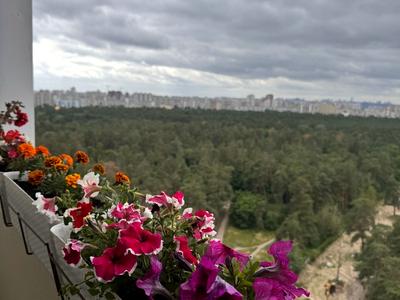 квартира за адресою Миколи Вінграновського вул., 2