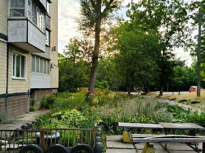 квартира по адресу Янтарная ул., 79