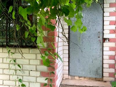 будинок за адресою с.о. Лесная, 10