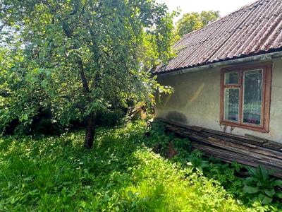 дом по адресу Вулиця без Назви