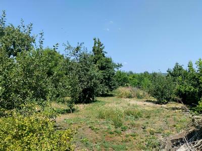 будинок за адресою с. Старовірівка, Перемоги, 20