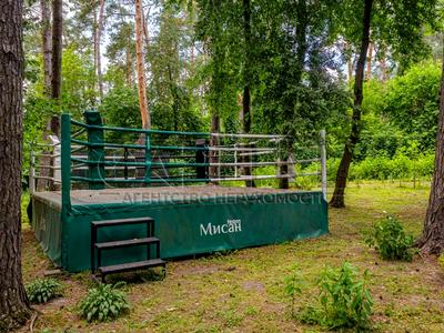 будинок за адресою Вишгородський