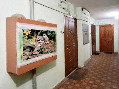 квартира за адресою Олександра Довженка вул., 16-Б