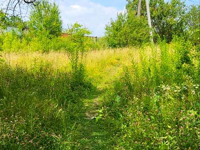 ділянка за адресою Панютинський пров., 5