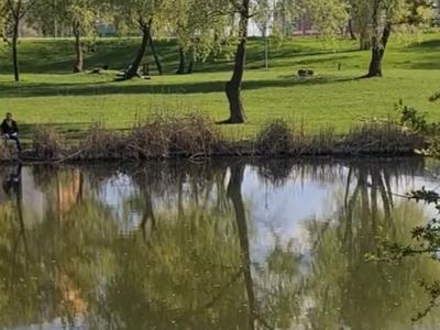 квартира по адресу Рональда Рейгана ул., 28
