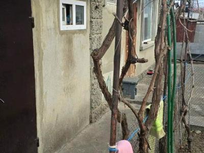 будинок за адресою Хутірська вул., 42г
