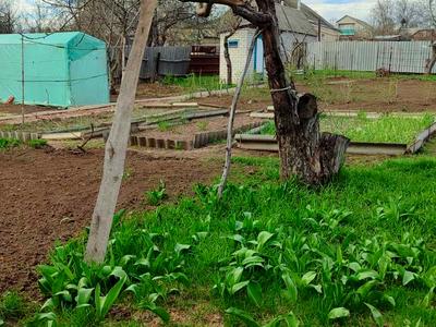будинок за адресою Зеленогайська, 40