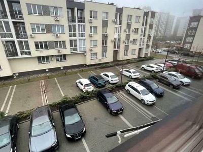 квартира по адресу Берёзовая ул., 41