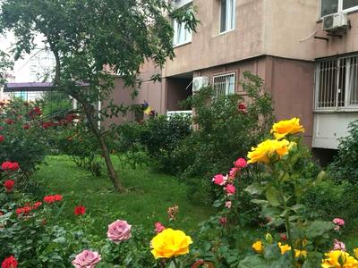 квартира по адресу Олены Пчилки ул., 2-Б