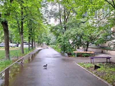 квартира за адресою Данила Щербаківського вул. (Щербакова), 68